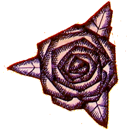 Joe Jonas Rose Sticker by DNCE