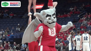 bradley GIF by Missouri Valley Conference