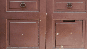 Ispi Ispionline GIF