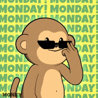 Coffee Work GIF by Wise Monkey Meme