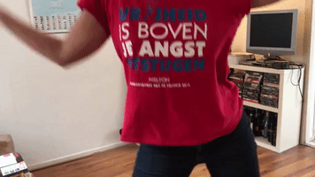 Bevrijdingsfestival Bpop19 GIF by Bevrijdingspop