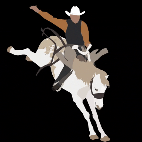 RanchEventsComplex cowboy rodeo bec loveland GIF