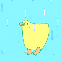 loop raining GIF by Shane Beam