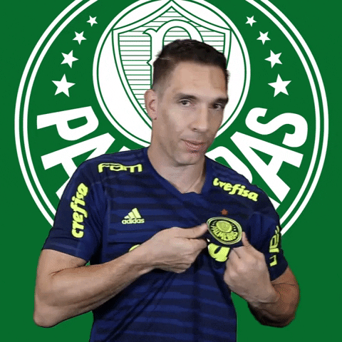 escudo bate no peito GIF by SE Palmeiras