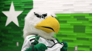 North Texas Face Mask GIF by University of North Texas