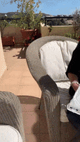 200.gif?cid=fc005b08e27e165b9b0b7371ef10aab535e5b788be7f1fef&rid=200.gif&ct=g