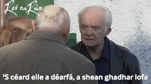 Gaeilge meme gif