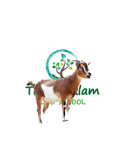 School Goat Sticker by trihita alam