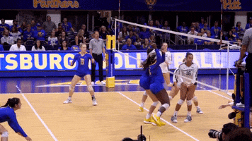 University Of Pittsburgh Yes GIF by Pitt Panthers