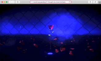 Rose Love GIF by Well Now WTF?
