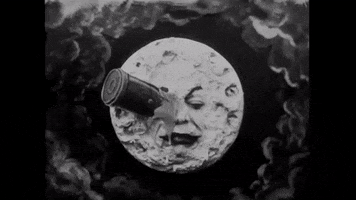 Moon Landing Wtf GIF by Arrow Academy