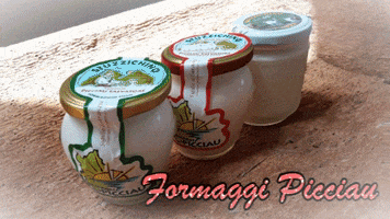 PicciauFormaggi GIF