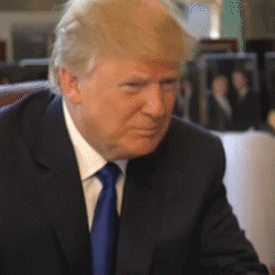 Trump GIF