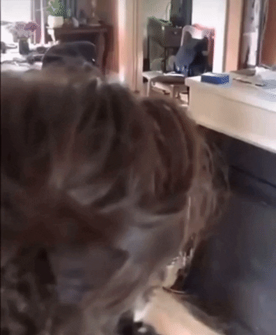 giphy.gif?cid=2154d3d789c4cbdcee743f3f87959c9fd4e3ee10c6a62ebb&ep=v1_gifs_username_username&rid=giphy.gif&ct=g