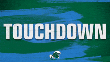 Touchdown Catch GIF by GreenWave