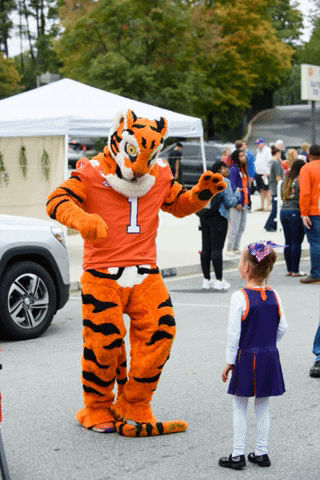 Tiger GIF by Clemson University