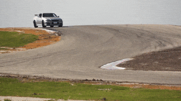 Skyline R34 GIF by jesse_iwuji