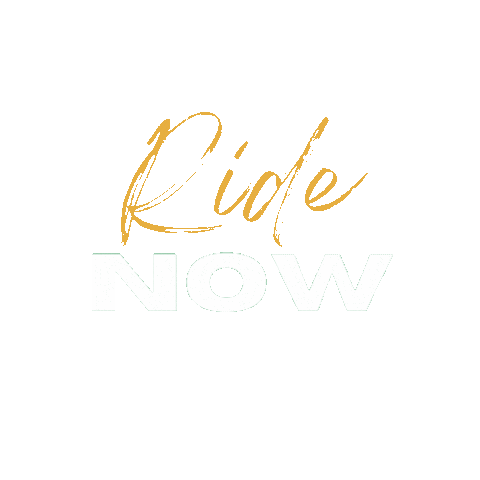 Sparkle Ride Sticker by algorhythm