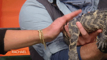 Food Rachel GIF by Rachael Ray Show