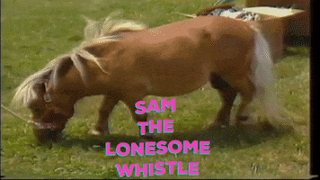 Sam Whistle GIF by KPISS.FM