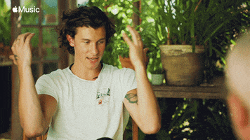 Shawn Mendes Spinning GIF by Apple Music