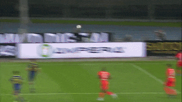 Musso GIF by nss sports