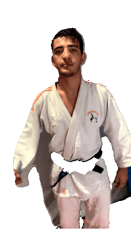 Swannsauzay Sticker by Chaponost Judo