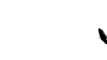 Brandolt Institute Sticker