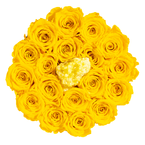 Pink Gift Sticker By La Fleur Bouquets For Ios Android Giphy Pink Gift Sticker By La Fleur Bouquets For Ios Android Giphy