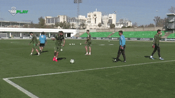 Real Betis Challenge GIF by Real Betis Balompié