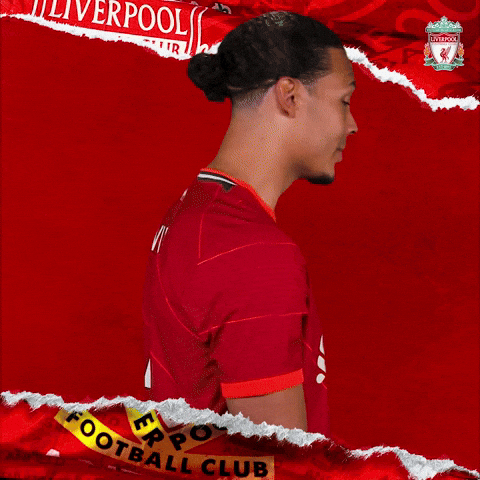 That Will Do No Problem GIF by Liverpool FC