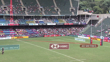 sport usa GIF by World Rugby