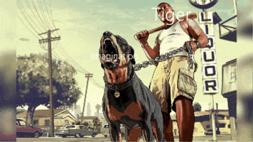 Animated GIF