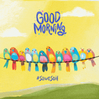 Happy Good Morning GIF by Conscious Planet - Save Soil