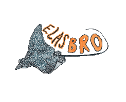 Animated Sticker