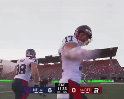 Touchdown Celebrate GIF
