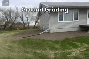 Regina Groundgrading GIF