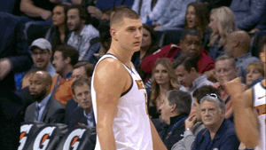 Denver Nuggets Lol GIF by NBA - Find & Share on GIPHY