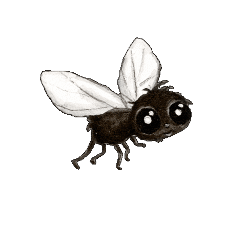 Spider Fliege Sticker by Die kleine Spinne Widerlich