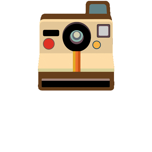 groovynation Sticker