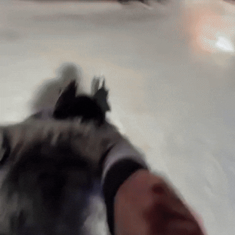 Ice Skating Bunny GIF
