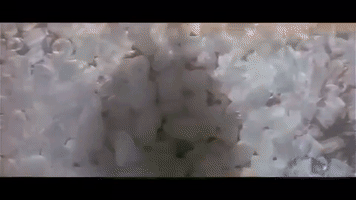 Suriya Gowtham GIF