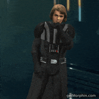 Star Wars Skywalker GIF by Morphin
