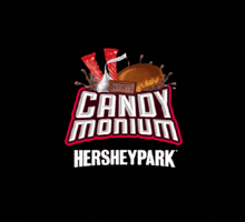 Rollercoaster GIF by Hersheypark