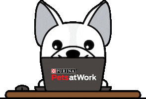 Perro Sticker by Nestlé Purina Argentina