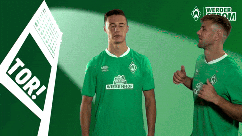 giphy.gif