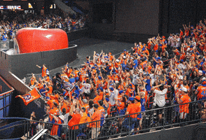 Home Run Mets GIF by The 7 Line