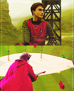 Harry Potter Quidditch GIF - Find & Share on GIPHY