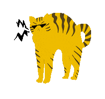 Angrycat Sticker