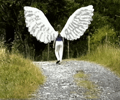 200.gif?cid=fc005b08f53eced4e64b61cd3d2d8cf356bdc29d6de9d0ee&rid=200.gif&ct=g